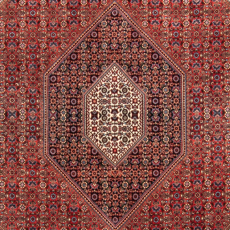 ビジャー - タカブ 絨毯 310x205cm - ペルシャ絨毯
