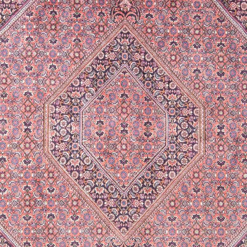 ビジャー 絨毯 240x145cm - ペルシャ絨毯