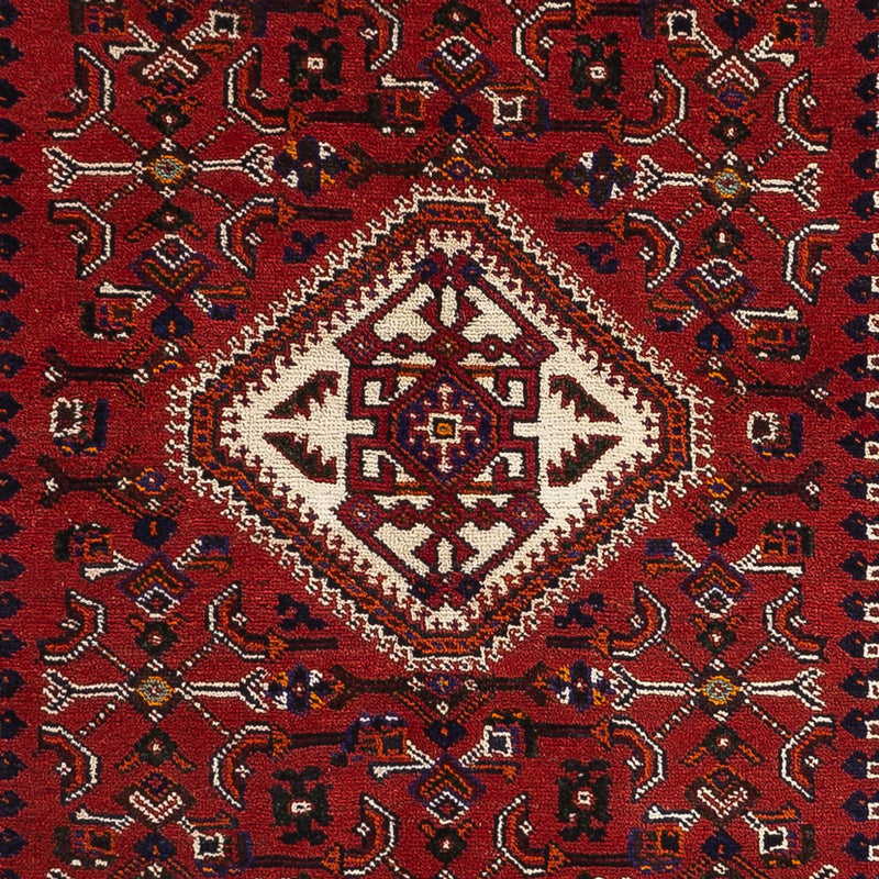 ガシュガイ 絨毯 252x155cm - ペルシャ絨毯