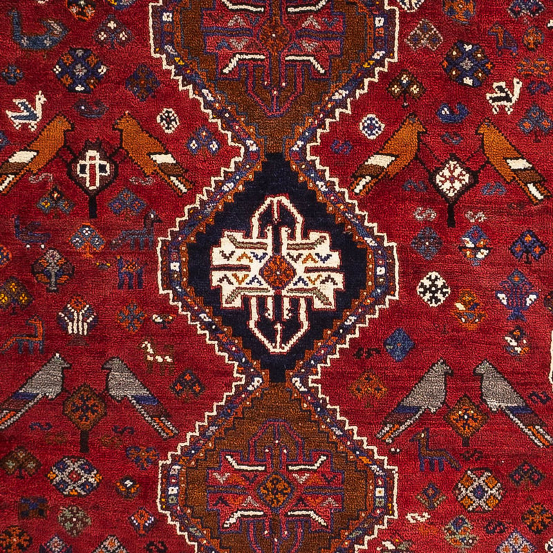 ガシュガイ 絨毯 259x162cm - ペルシャ絨毯