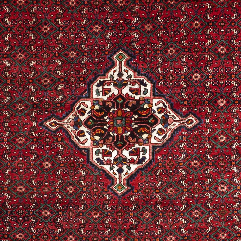 マラーイェル 絨毯 318x210cm - ペルシャ絨毯
