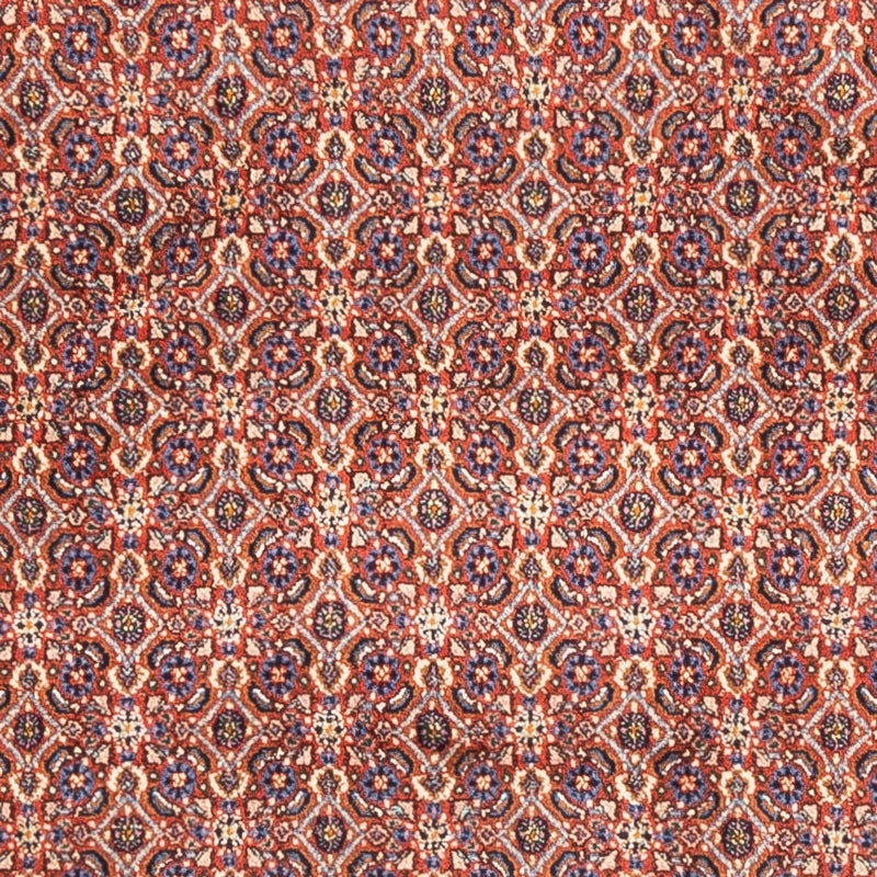 モウド 絨毯 247x202cm - ペルシャ絨毯