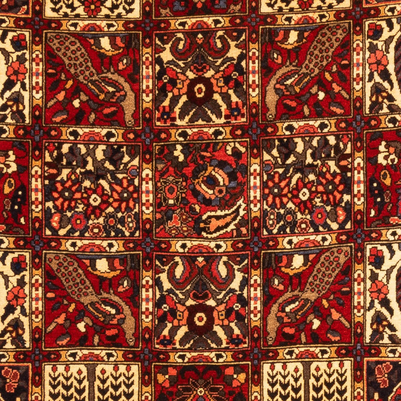 バフティアール 絨毯 243x150cm - ペルシャ絨毯