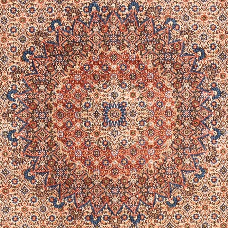 モウド 絨毯 244x194cm - ペルシャ絨毯