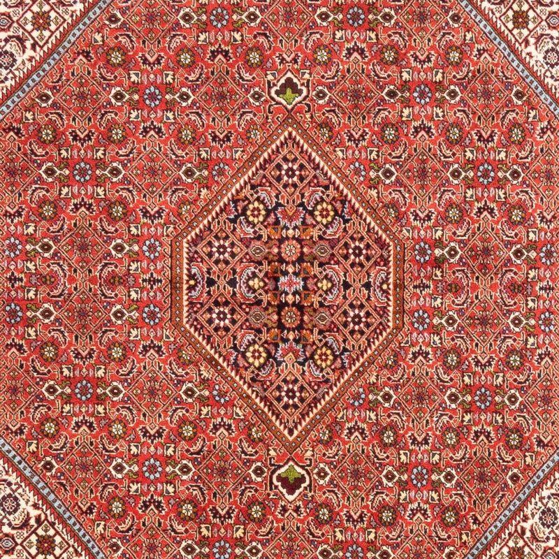 ビジャー 絨毯 253x168cm - ペルシャ絨毯