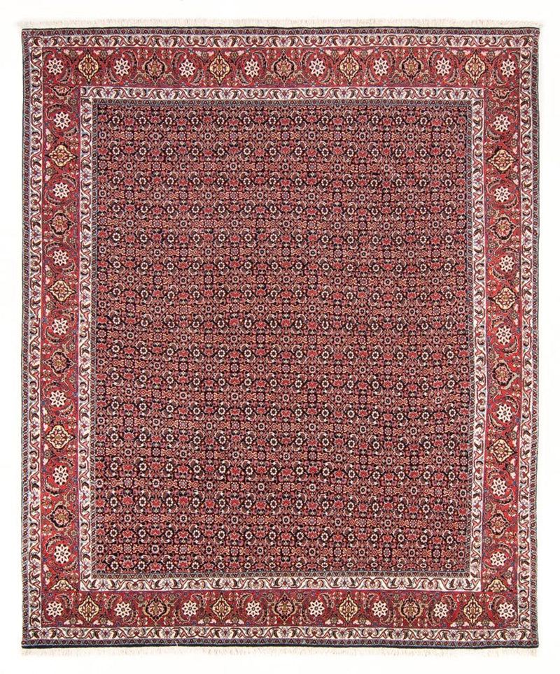 ビジャー - タカブ 絨毯 247x196cm - ペルシャ絨毯