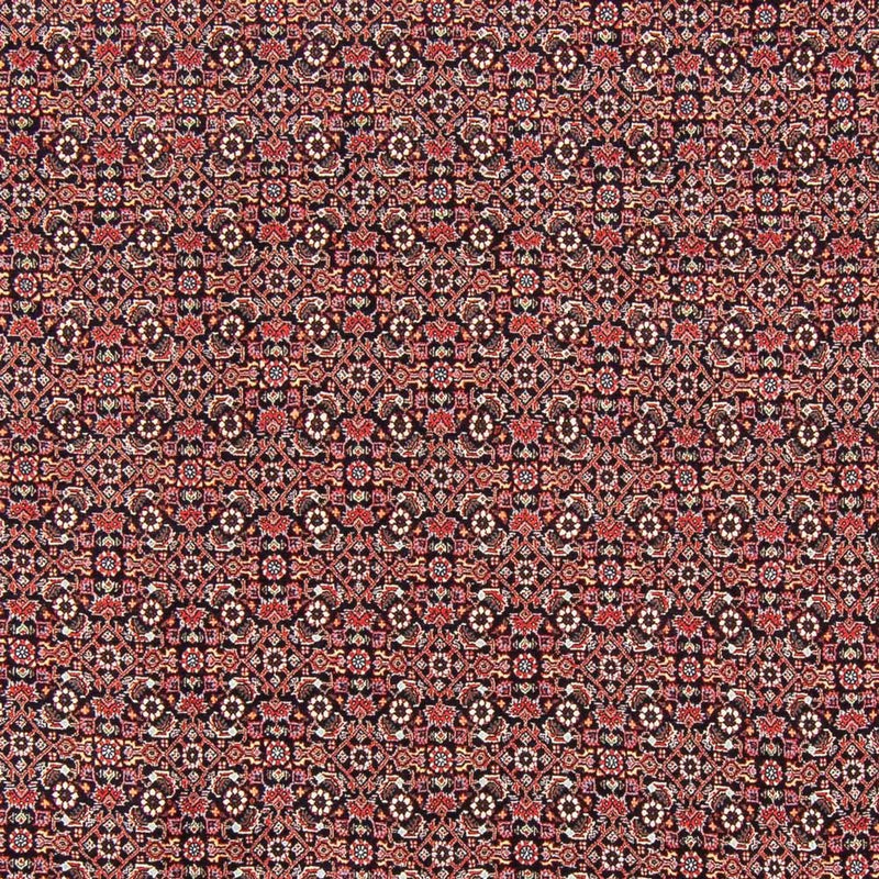 ビジャー - タカブ 絨毯 247x196cm - ペルシャ絨毯