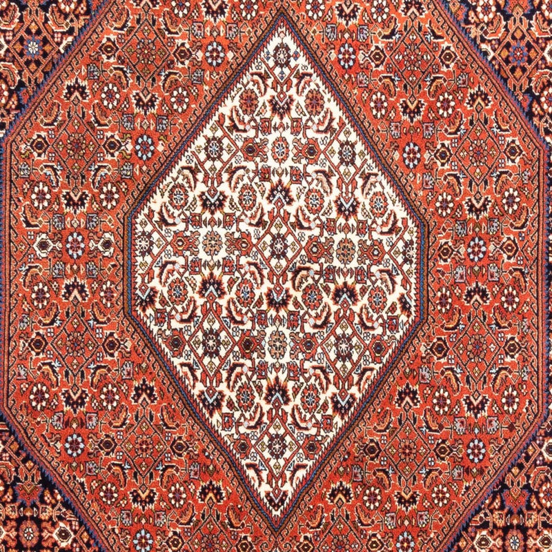 ビジャー 絨毯 240x170cm - ペルシャ絨毯