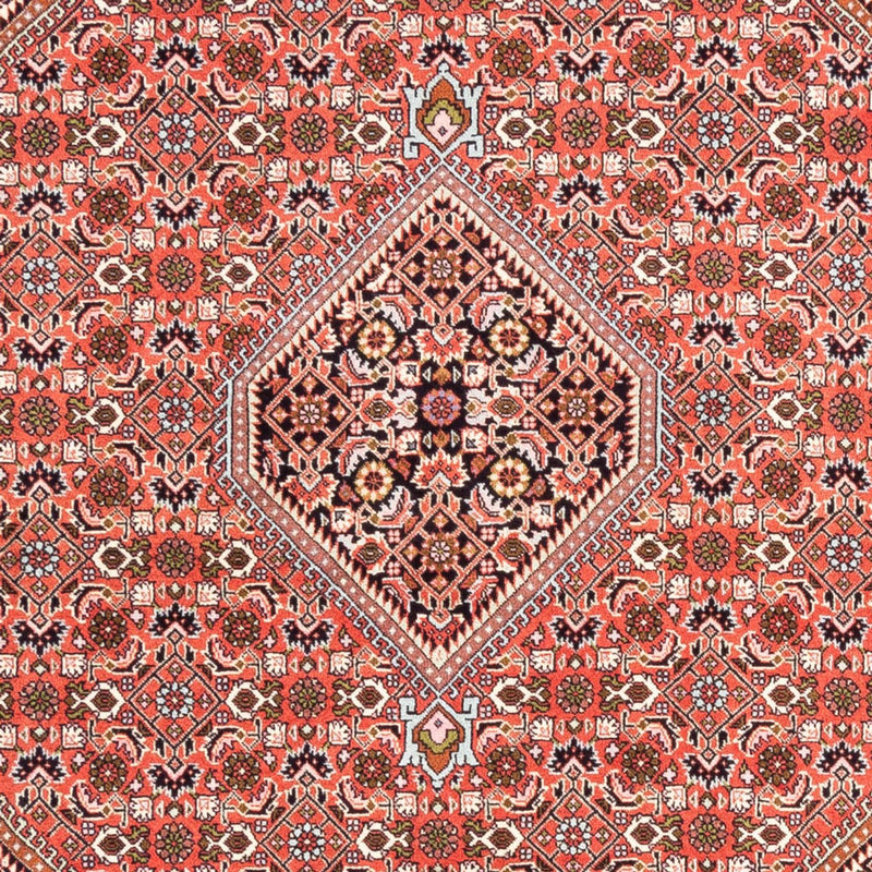 ビジャー 絨毯 235x168cm - ペルシャ絨毯