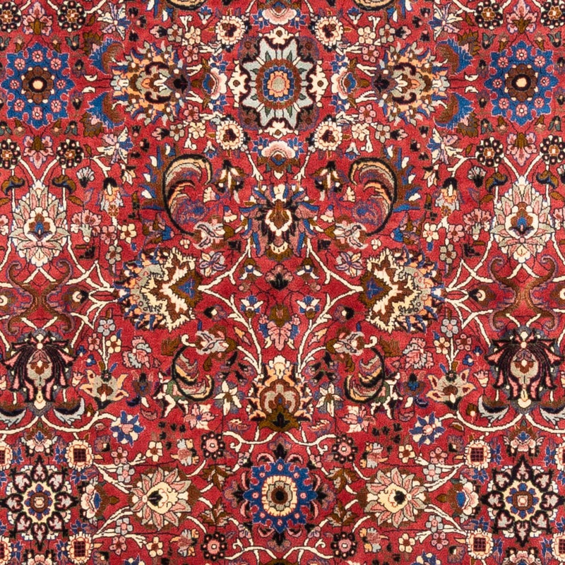 ビジャー - タカブ 絨毯 246x197cm - ペルシャ絨毯