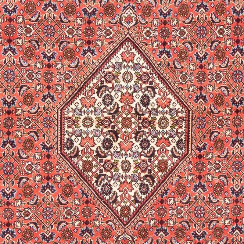 ビジャー 絨毯 242x170cm - ペルシャ絨毯