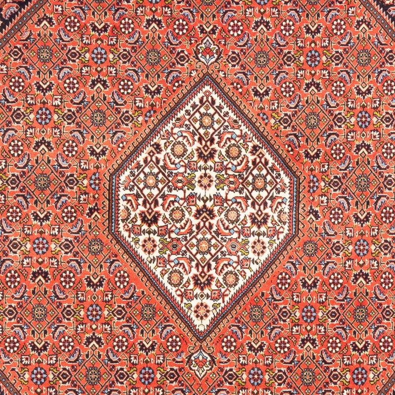 ビジャー 絨毯 240x173cm - ペルシャ絨毯