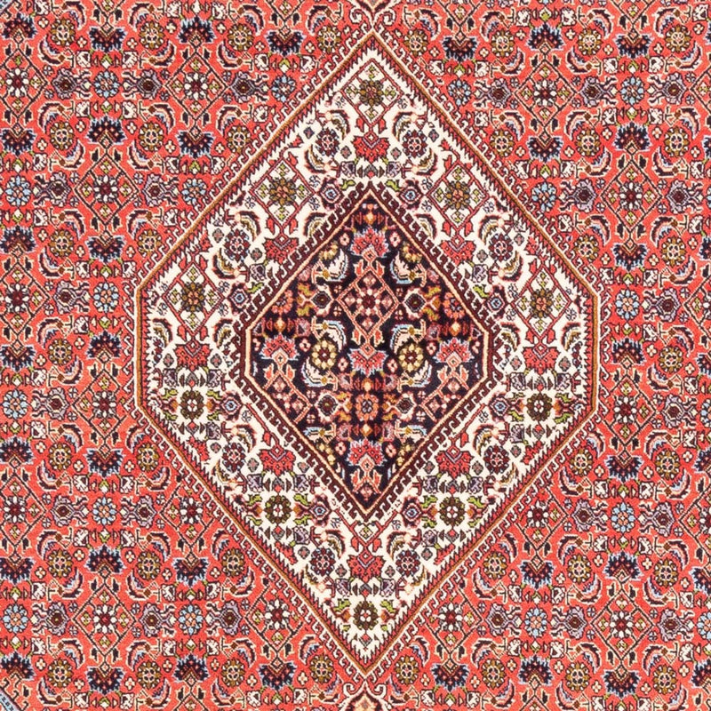 ビジャー 絨毯 243x170cm - ペルシャ絨毯