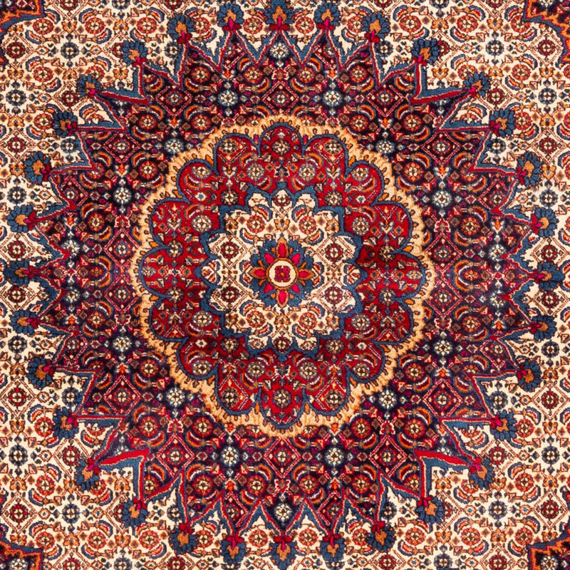 モウド 絨毯 262x217cm - ペルシャ絨毯