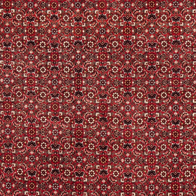 ビジャー 絨毯 238x178cm - ペルシャ絨毯