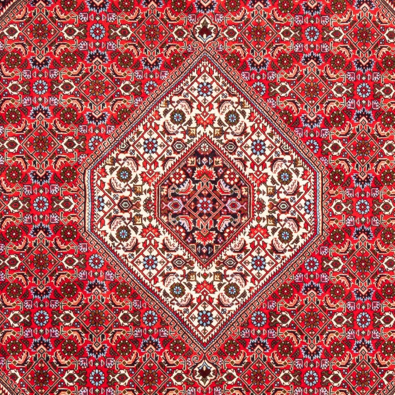 ビジャー 絨毯 253x170cm - ペルシャ絨毯