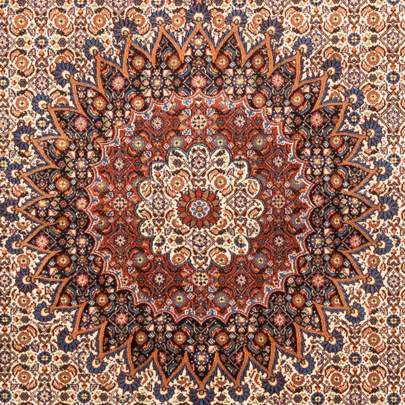 モウド 絨毯 290x206cm - ペルシャ絨毯
