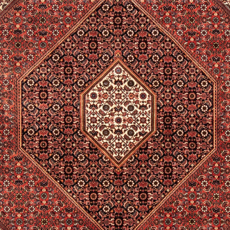 ビジャー 絨毯 235x170cm - ペルシャ絨毯