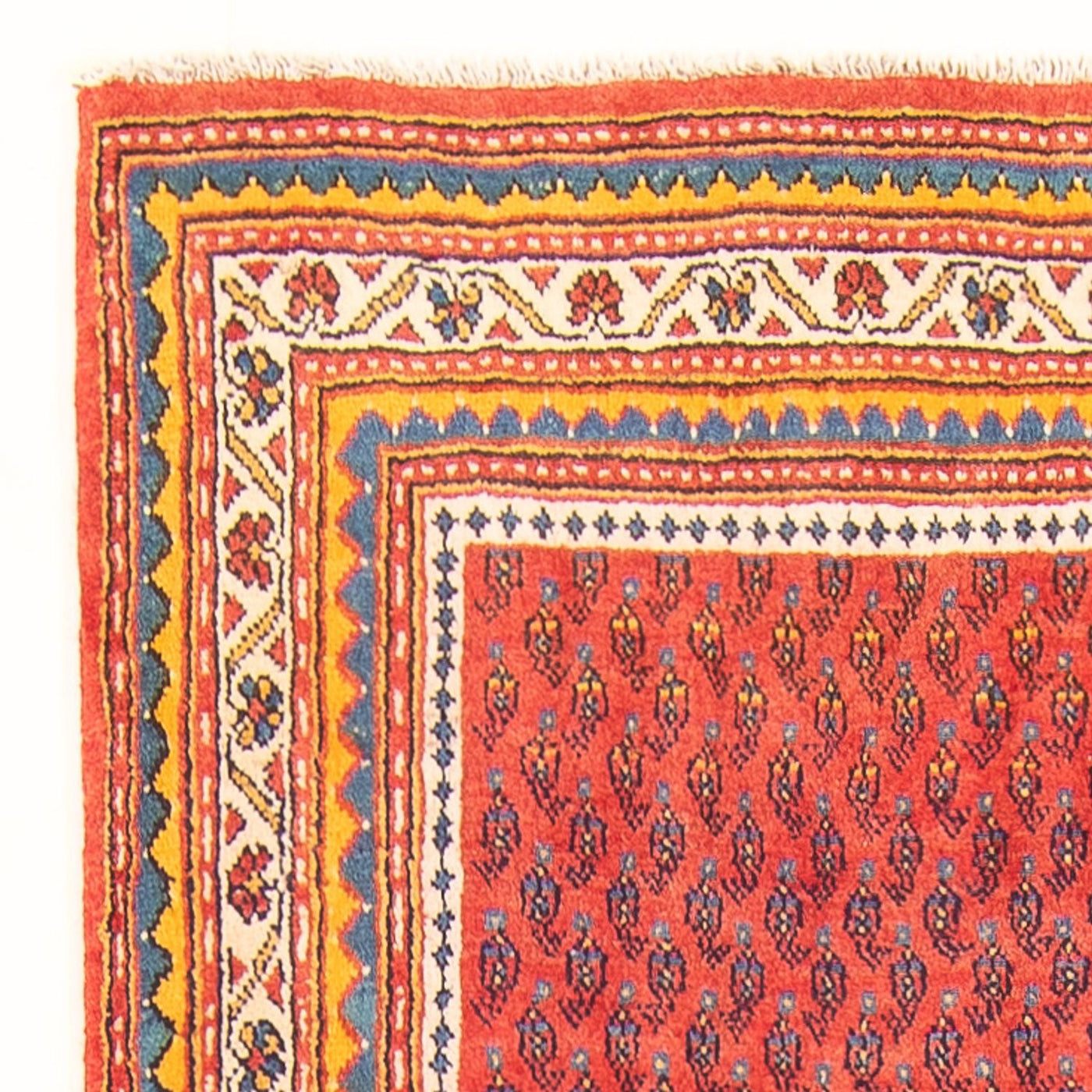 サルーク 絨毯 328x118cm - ペルシャ絨毯