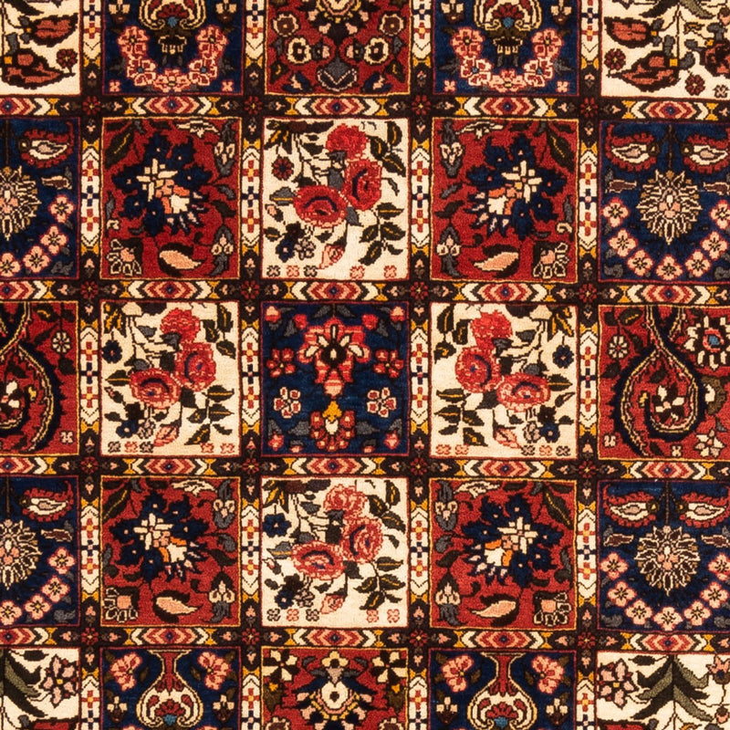 バフティアール 絨毯 250x155cm - ペルシャ絨毯