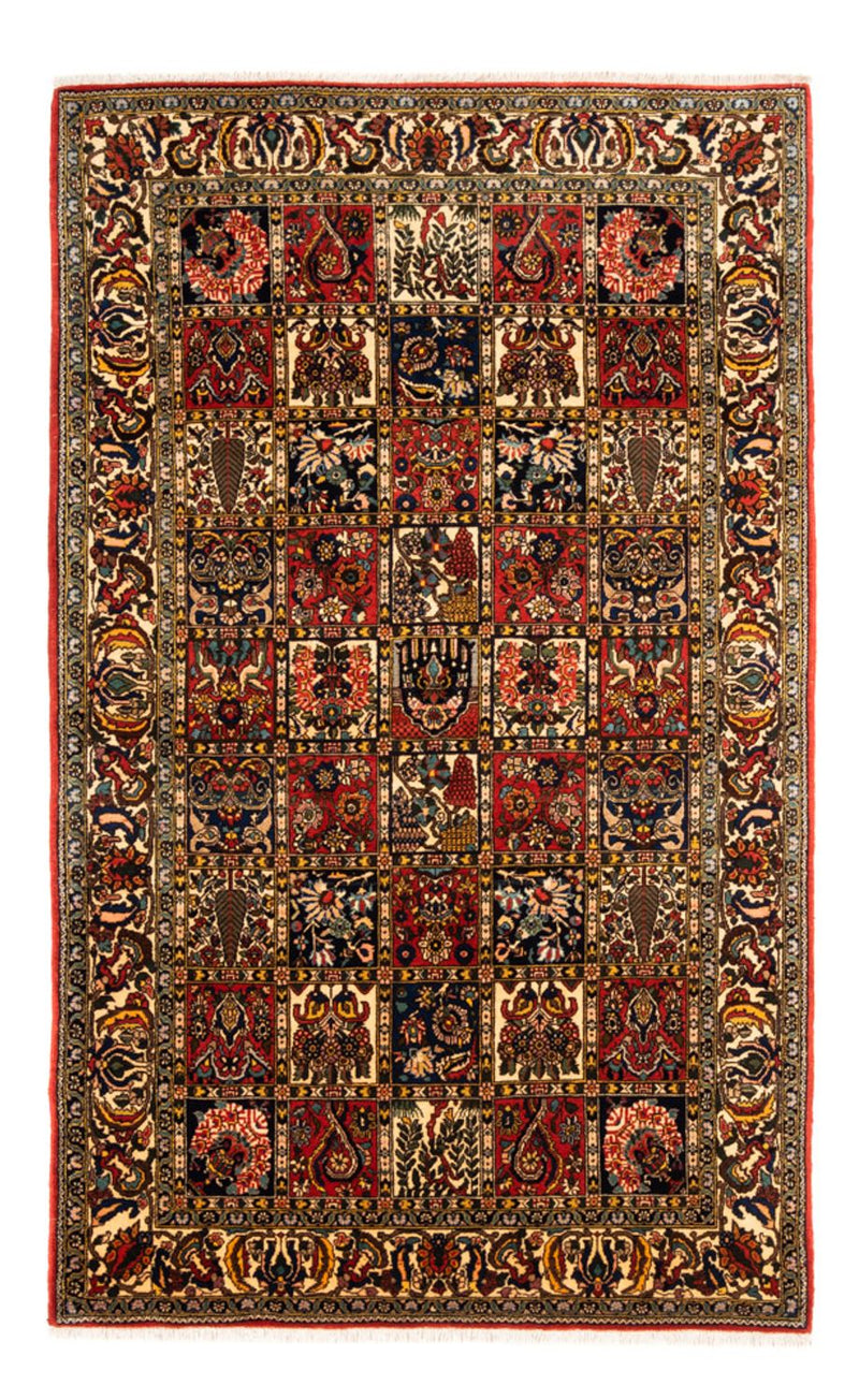 バフティアール 絨毯 250x155cm - ペルシャ絨毯