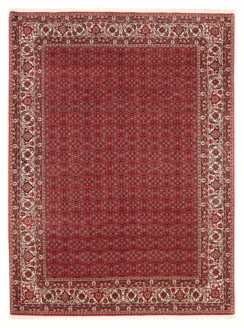 ビジャー 絨毯 272x217cm - ペルシャ絨毯