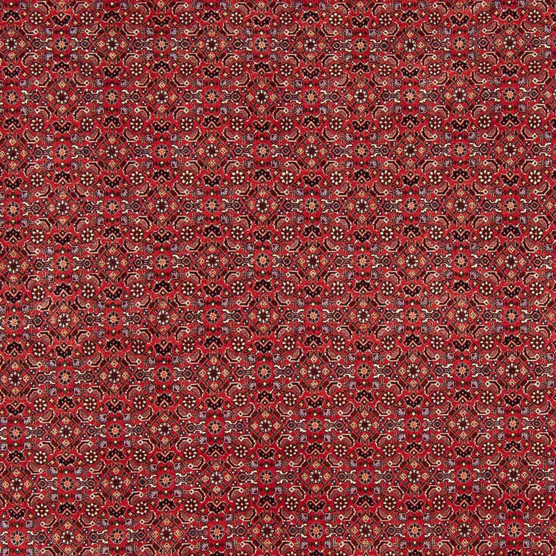 ビジャー 絨毯 272x217cm - ペルシャ絨毯