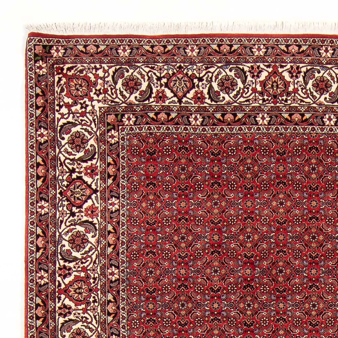 ビジャー 絨毯 272x217cm - ペルシャ絨毯