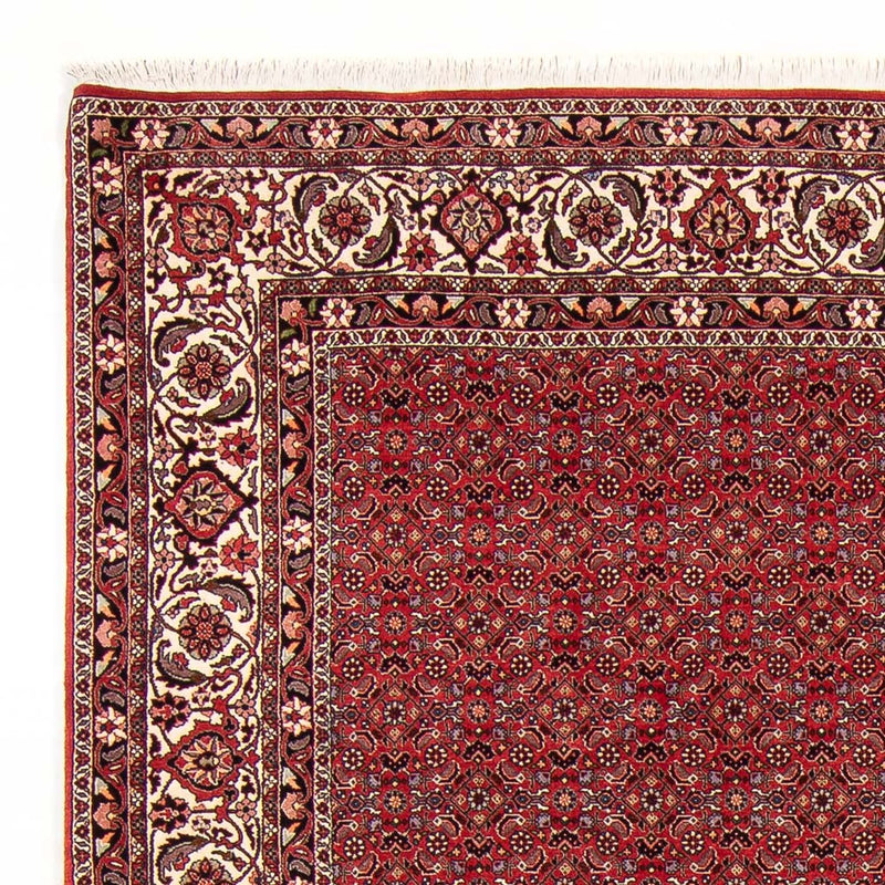 ビジャー 絨毯 272x217cm - ペルシャ絨毯