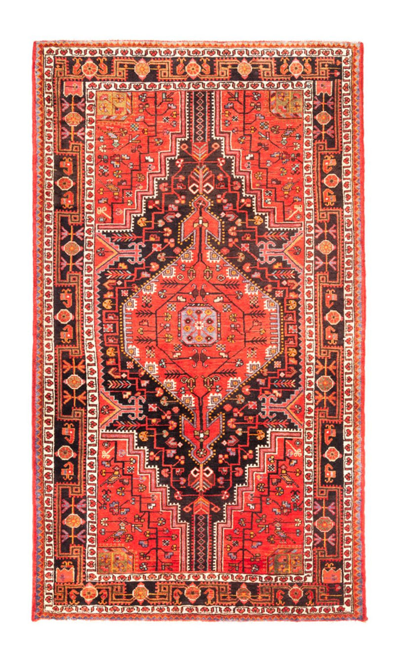 ハマダン 絨毯 273x154cm - ペルシャ絨毯