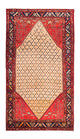 コリアイ 絨毯 273x153cm - ペルシャ絨毯