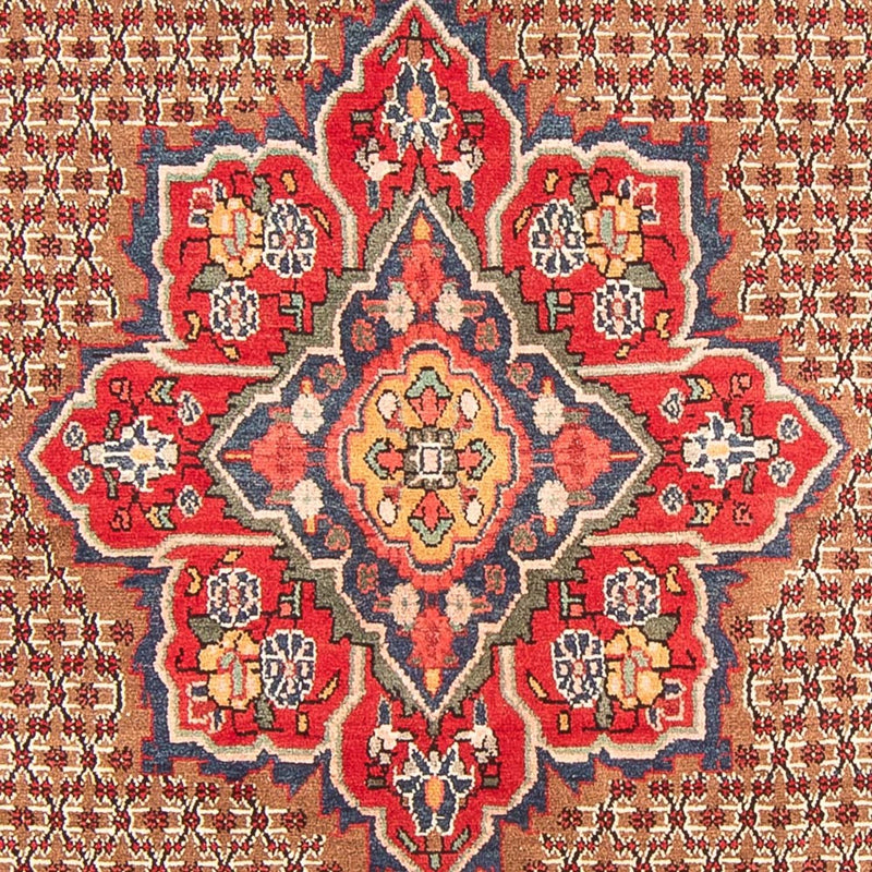 コリアイ 絨毯 285x155cm - ペルシャ絨毯