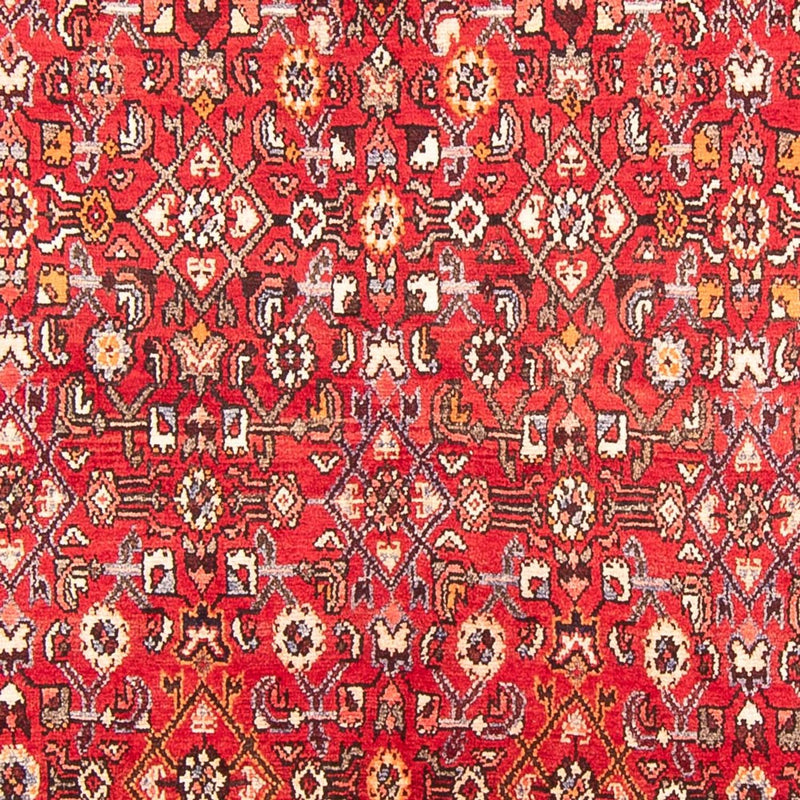 ホセイナバード 絨毯 285x158cm - ペルシャ絨毯