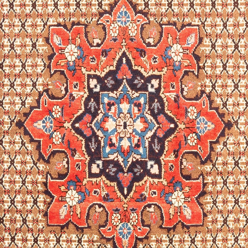コリアイ 絨毯 300x157cm - ペルシャ絨毯