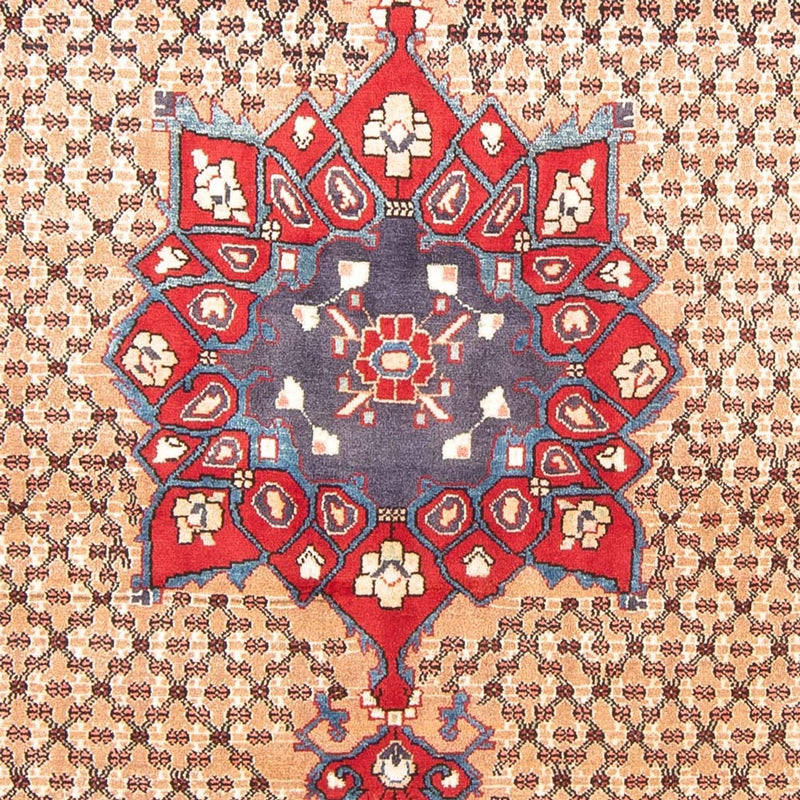 コリアイ 絨毯 290x150cm - ペルシャ絨毯