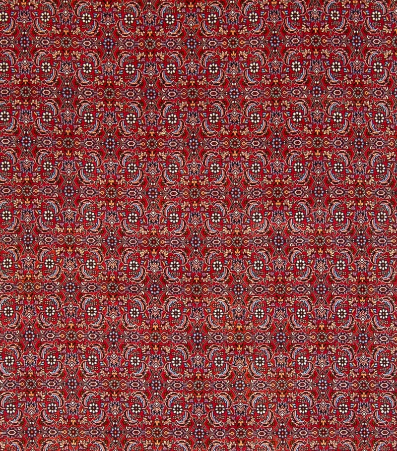 ビジャー - タカブ 絨毯 347x254cm - ペルシャ絨毯
