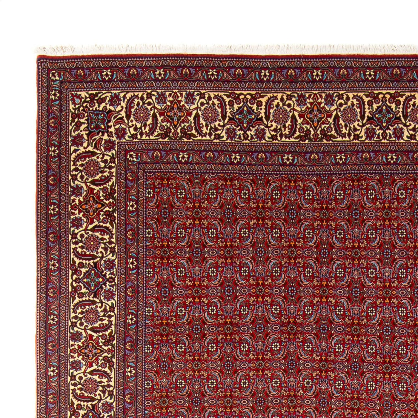 ビジャー - タカブ 絨毯 347x254cm - ペルシャ絨毯