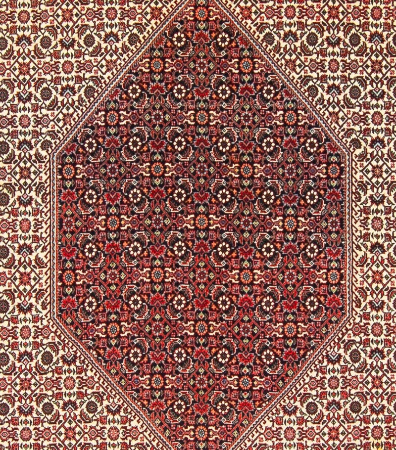 ビジャー - タカブ 絨毯 300x253cm - ペルシャ絨毯