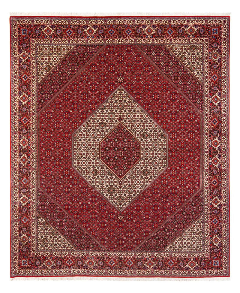 ビジャー - タカブ 絨毯 301x253cm - ペルシャ絨毯