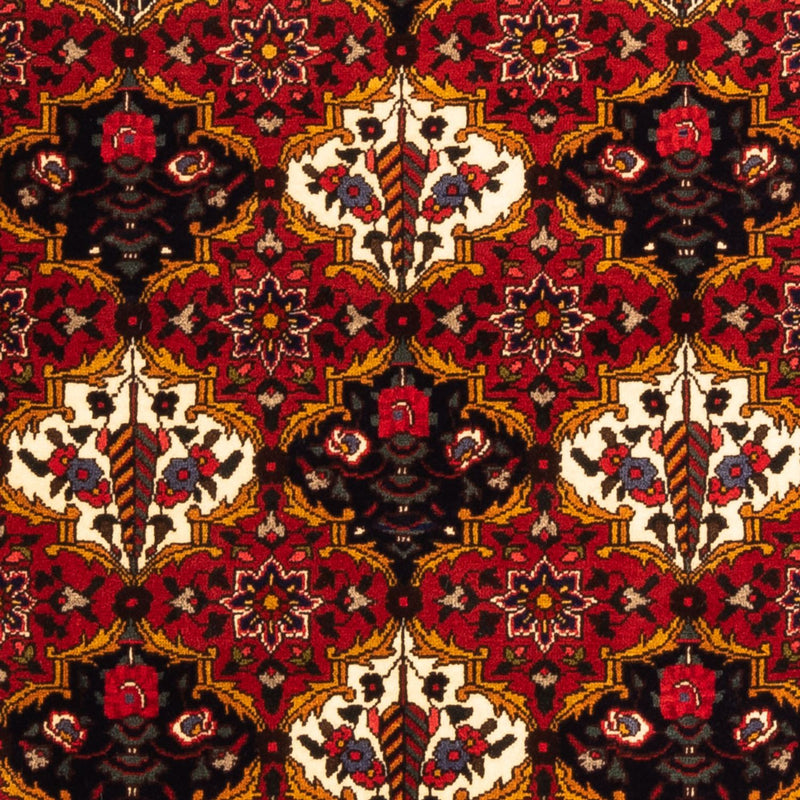 バフティアール 絨毯 159x110cm - ペルシャ絨毯