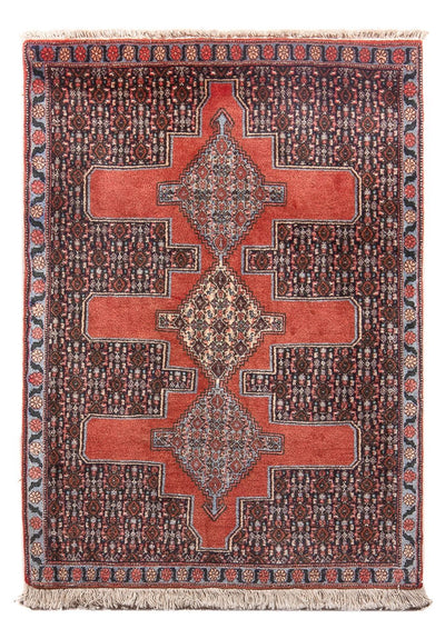 センネ 絨毯 72x108cm - ペルシャ絨毯