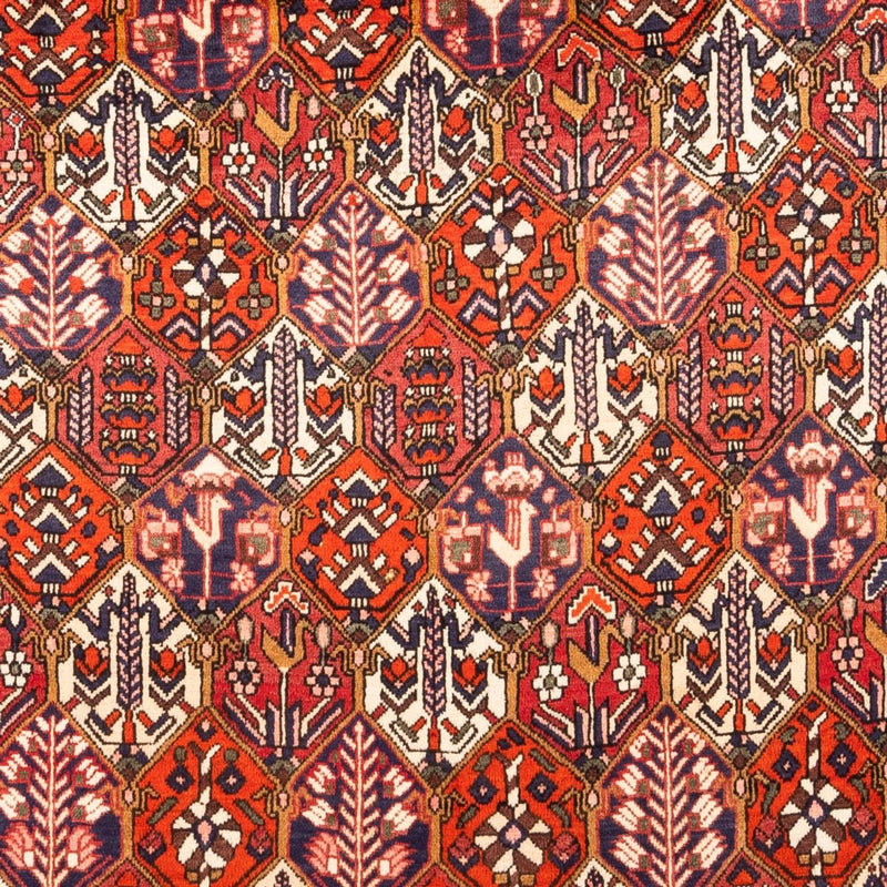 バフティアール 絨毯 310x210cm - ペルシャ絨毯