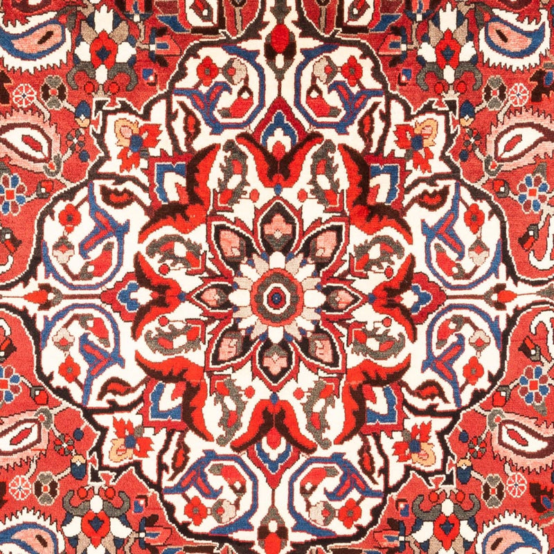 バフティアール 絨毯 315x207cm - ペルシャ絨毯