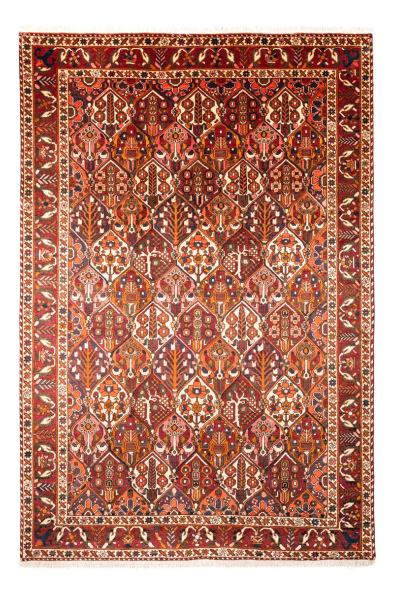 バフティアール 絨毯 308x210cm - ペルシャ絨毯