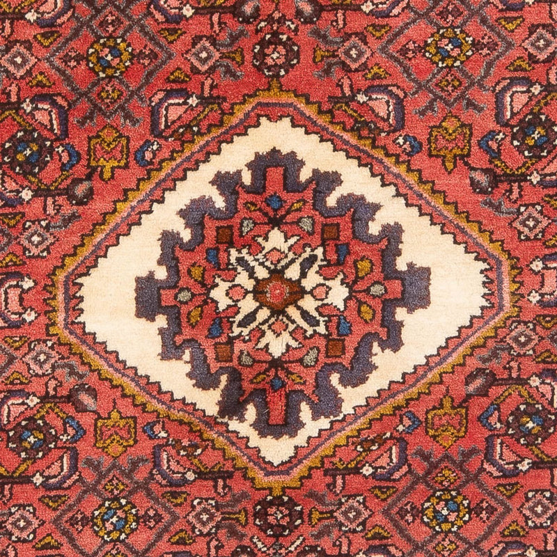 ホセイナバード 絨毯 226x132cm - ペルシャ絨毯