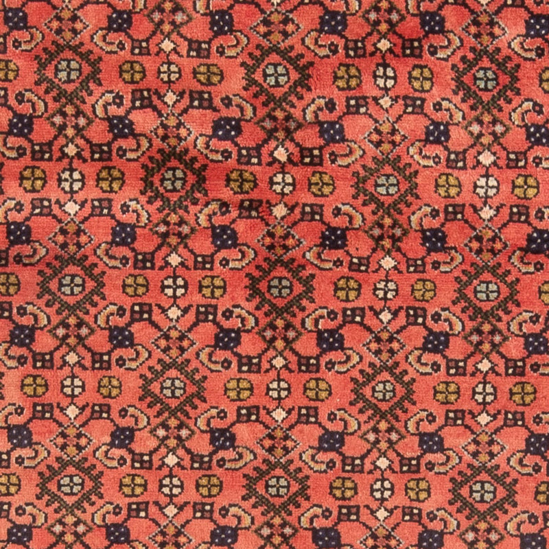ホセイナバード 絨毯 190x155cm - ペルシャ絨毯