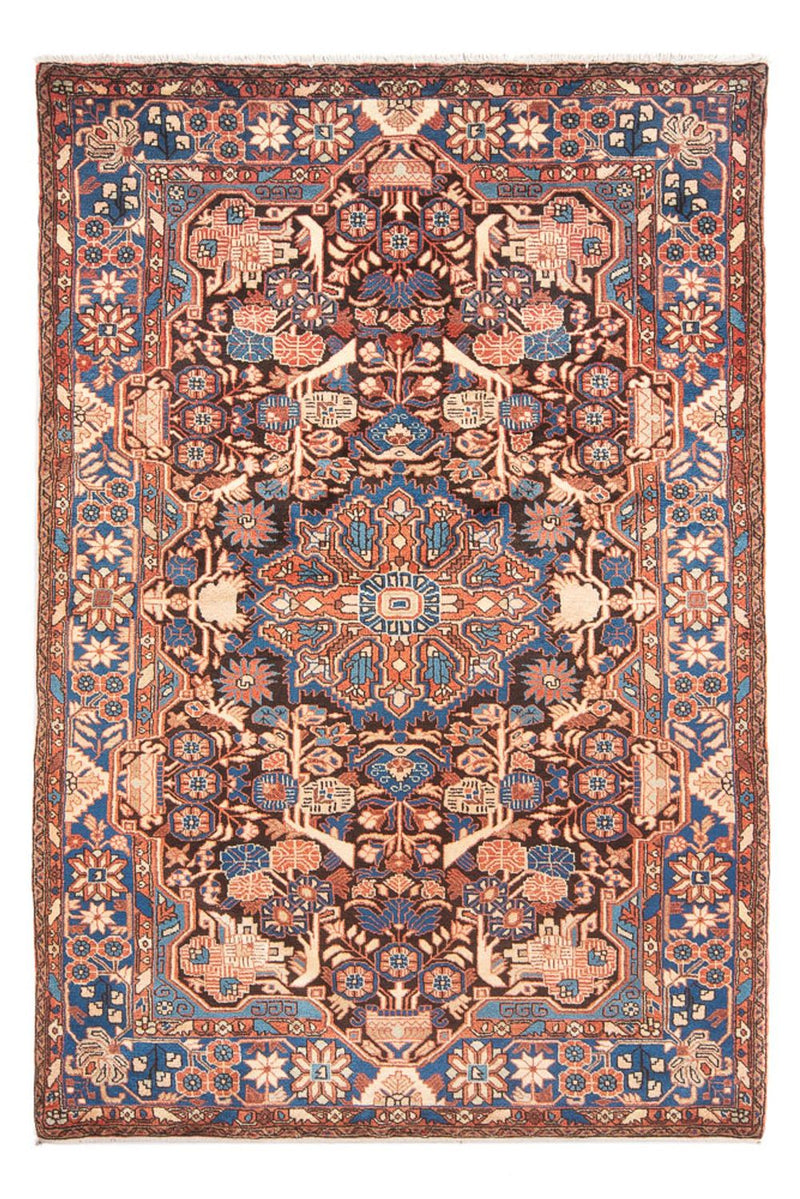 ナハバンド 絨毯 244x155cm - ペルシャ絨毯