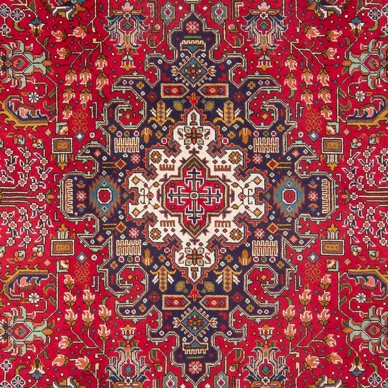 カシャーン 絨毯 294x202cm - ペルシャ絨毯