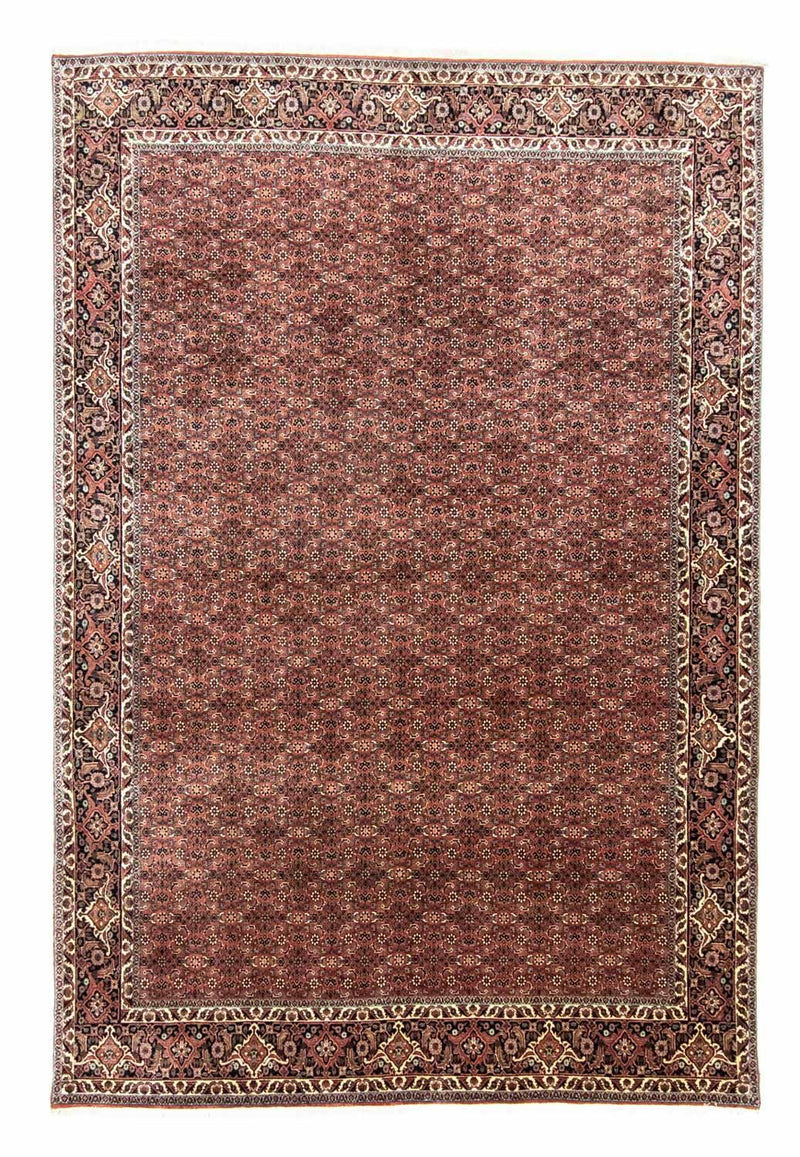 ビジャー 絨毯 305x200cm - ペルシャ絨毯