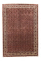 ビジャー 絨毯 300x204cm - ペルシャ絨毯